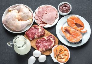 Protein diet for weight loss